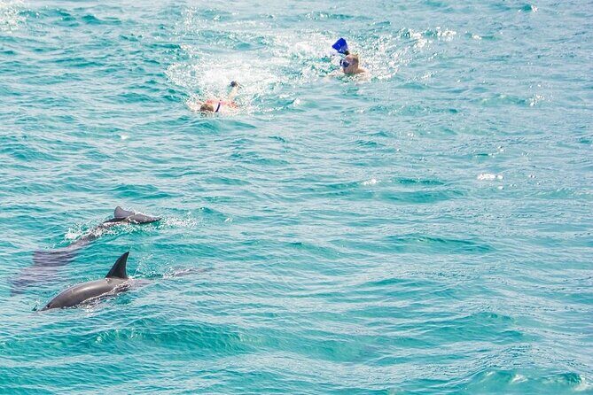 Dolphin House Snorkeling Trip & Water Sports with Lunch -Hurghada - Water Sports and Additional Activities