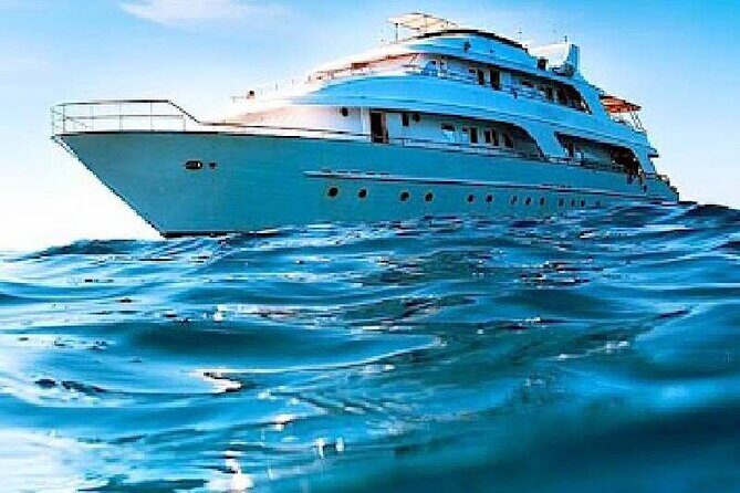 Dolphin House Snorkeling Trip & Water Sports with Lunch -Hurghada - Morning Pickup and Departure