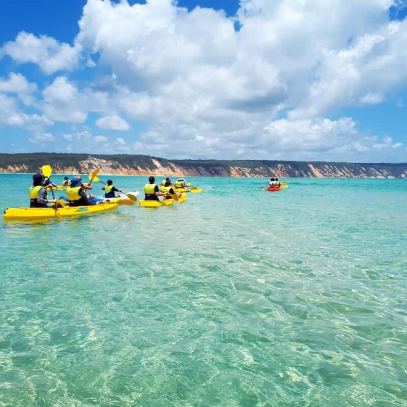 Dolphin Kayak Tour & Beach 4X4 National Park Tour (Private) - The Return Journey and Practicalities