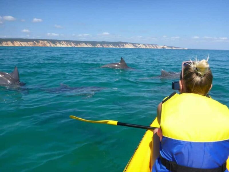 Dolphin Kayak Tour & Beach 4X4 National Park Tour (Private) - Frequently Asked Questions