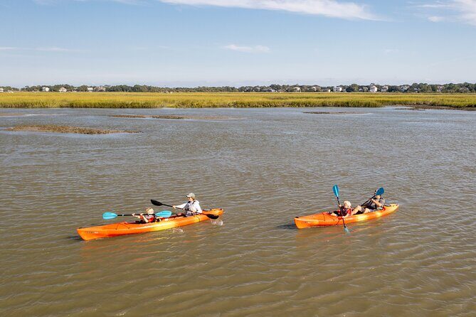 Dolphin Kayak Tour on Folly Beach - Authentic Reviews & Real Experiences