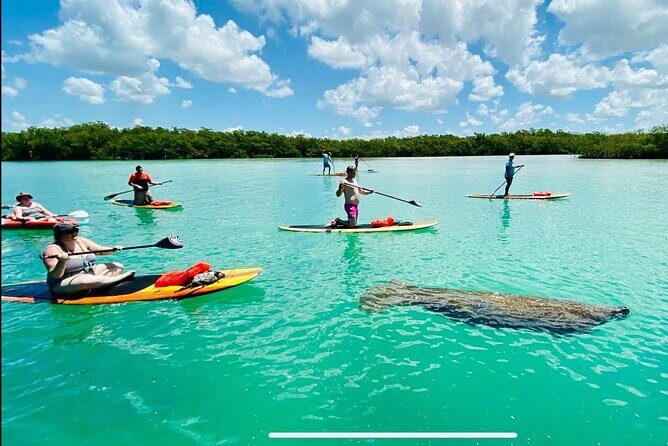 Dolphin, Manatee and Sea Turtle Adventure Tour of Bonita Springs - The Guides and Group Size