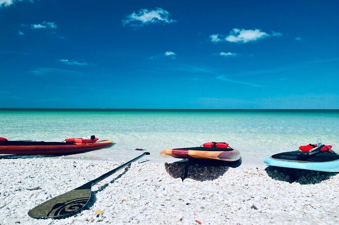 Dolphin, Manatee and Sea Turtle Adventure Tour of Bonita Springs - Authentic Experiences from Guest Reviews