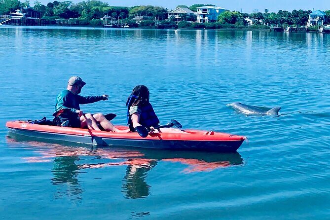 Dolphin, Manatee and Sea Turtle Kayak Adventure - The Experience in Detail
