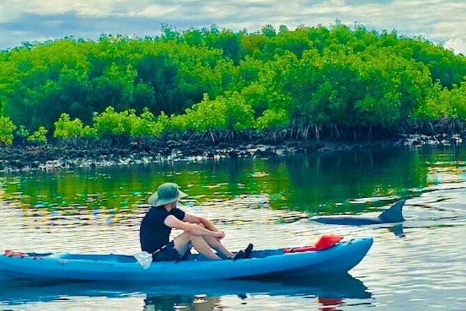 Dolphin, Manatee and Sea Turtle Kayak Adventure - The Sum Up