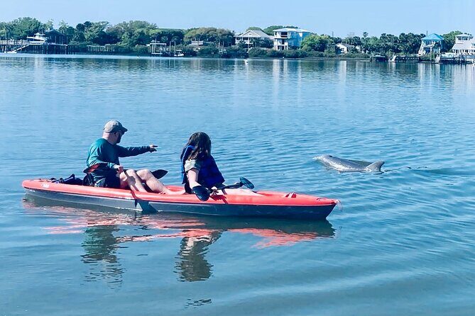 Dolphin, Manatee and SeaTurtle SUP Adventure Tour of St Augustine - Exploring the Dolphin, Manatee, and Sea Turtle SUP Adventure Tour of St. Augustine
