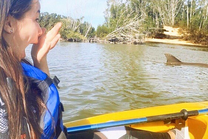 Dolphin & Manatee Kayaking Tour in Orlando Area - Introduction: An Unforgettable Kayaking Adventure Near Orlando