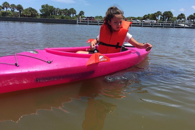 Dolphin & Manatee Kayaking Tour in Orlando Area - The Experience: What Makes It Special