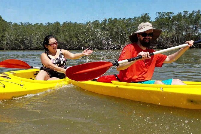 Dolphin & Manatee Kayaking Tour in Orlando Area - Who Will Love This Tour