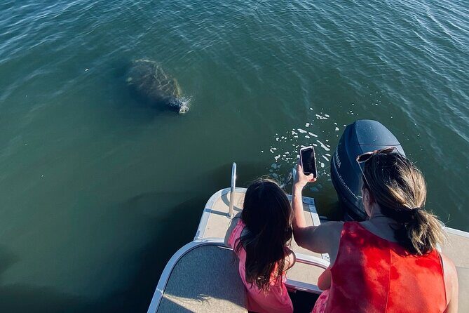 Dolphin/Manatee Pontoon Boat Tour with Local Expert - An Authentic Wildlife Encounter in Cocoa Beach