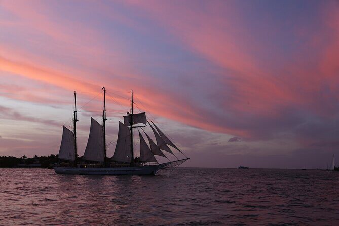 Dolphin Morning Watching & Snorkeling + open bar + 1 day Hop-On Hop-Off Fun - Frequently Asked Questions