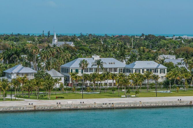 Dolphin Morning Watching & Snorkeling + open bar + 1 day Hop-On Hop-Off Fun - In The Sum Up