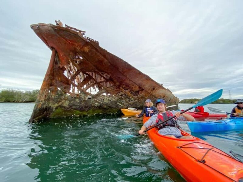 Dolphin Sanctuary and Ships Graveyard Kayak Tour - An Overview of the Experience