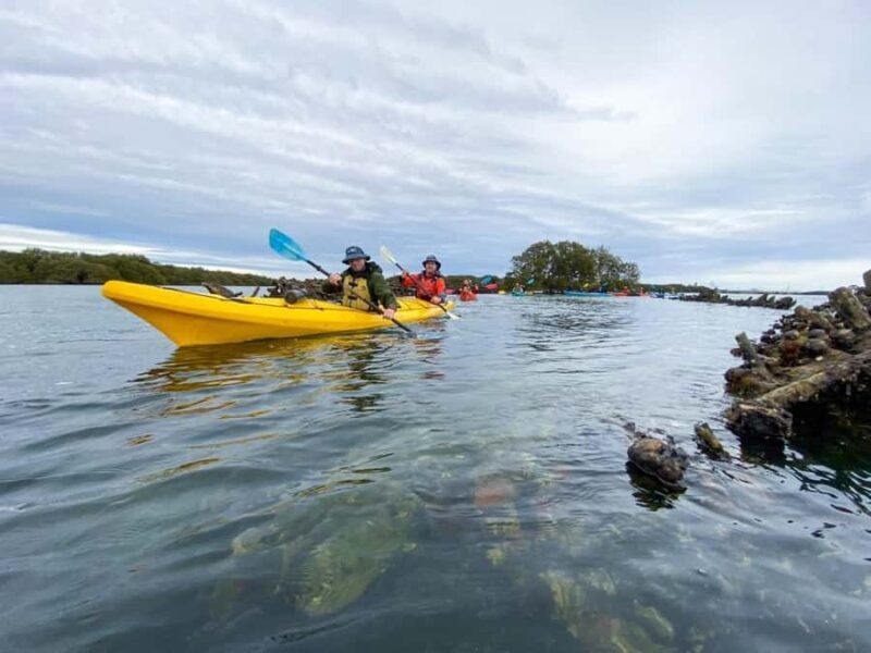 Dolphin Sanctuary and Ships Graveyard Kayak Tour - Why This Tour Stands Out