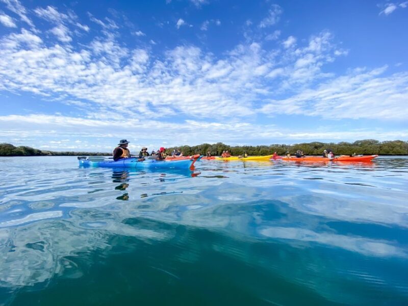 Dolphin Sanctuary and Ships Graveyard Kayak Tour - Who Would Love This Tour?