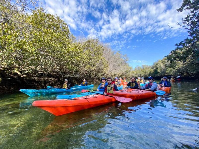 Dolphin Sanctuary and Ships Graveyard Kayak Tour - Practical Tips for Future Participants