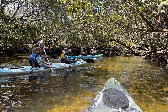 Dolphin Sanctuary Kayak Tour Adelaide - What is the Dolphin Sanctuary Kayak Tour in Adelaide?
