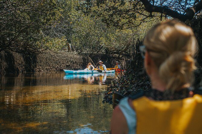 Dolphin Sanctuary Kayak Tour Adelaide - How about the Price and Value?