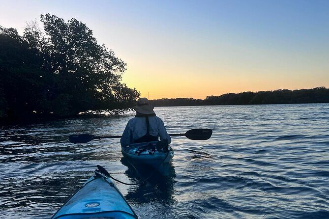Dolphin Sanctuary Kayak Tours Twilight Mangrove Kayak - Exploring Adelaide’s Twilight Mangrove Kayak Tour: An Authentic Waterway Escape