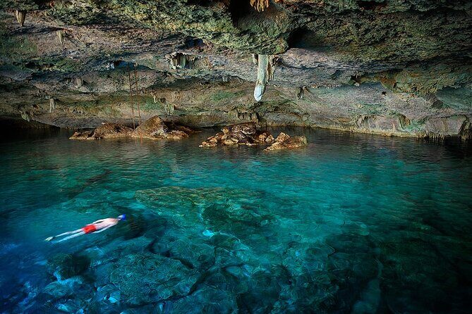 Dolphin, Sea Cave, Captain Cook, Kealakekua Bay Reef Snorkeling - Key Points