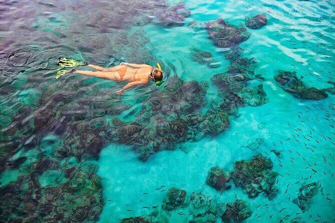 Dolphin, Sea Cave & Captain Cook Snorkel Combo in Kealakekua Bay - Overview of the Tour Experience
