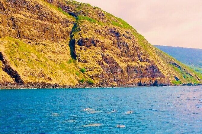 Dolphin, Sea Cave & Captain Cook Snorkel Combo in Kealakekua Bay - Final Thoughts: Is This Tour Right for You?