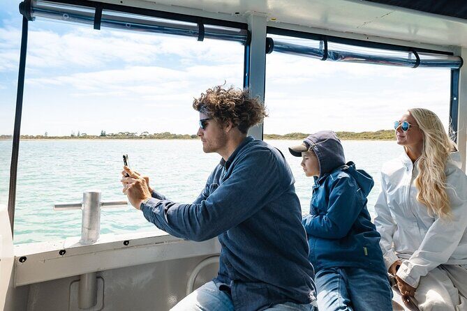 Dolphin, Sea Lion and Penguin Island Cruise - An Honest Look at the Experience