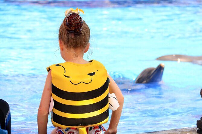 Dolphin Show & Photoshoot Package with Transfer from Hurghada - Introducing the Dolphin Show & Photoshoot Package with Transfer from Hurghada