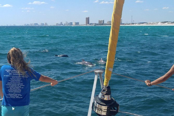 Dolphin Sightseeing Tour on The Footloose Catamaran from Panama City Beach - The Experience: What You Can Expect