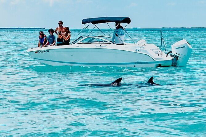Dolphin & Snorkel - Dolphin & Snorkel Tour in Key West: An Underwater Adventure Worth Booking