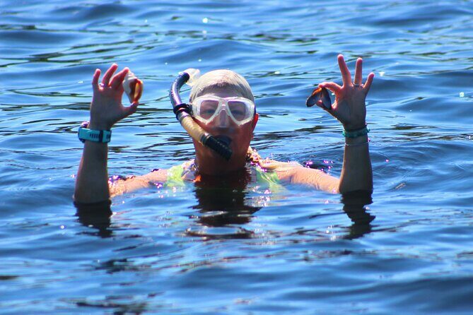 Dolphin Snorkel Tour - Key Points
