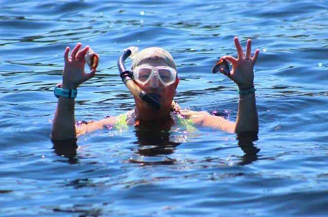 Dolphin Snorkel Tour - Who Should Book This Tour?