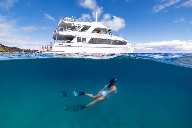 Dolphin & Tangalooma Wrecks Snorkel Cruise & Lunch - Gold Coast - What the Reviews Say
