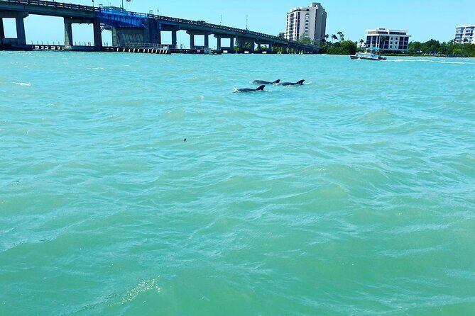 Dolphin Tiki Cruise around Fort Myers Beach - FAQs