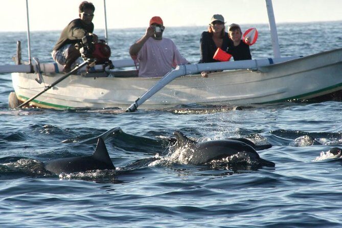 Dolphin Tour and Sunrise Watching in Lovina Beach - All Inclusive - A Hands-On Look at the Tour Experience
