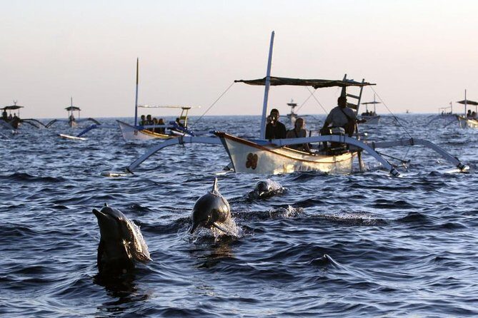 Dolphin Tour and Sunrise Watching in Lovina Beach - All Inclusive - Practical Details & Tips