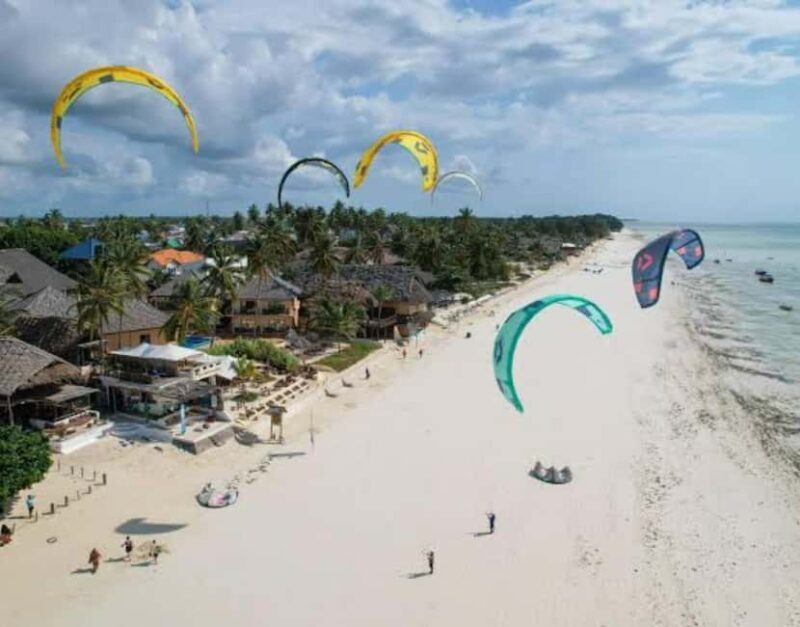 Dolphin Tour at Mnemba, Lagoon Aquarium & Kiwengwa Beach. - Final Thoughts: Who Is This Tour Best For?