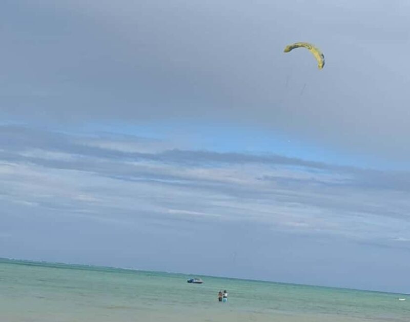 Dolphin Tour at Mnemba, Lagoon Aquarium & Kiwengwa Beach. - FAQs