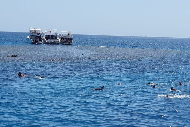 Dolphin Tour Banana Boat from Soma /Sahl Hasheesh/makadi/Safaga - The Sum Up: Is It Worth It?