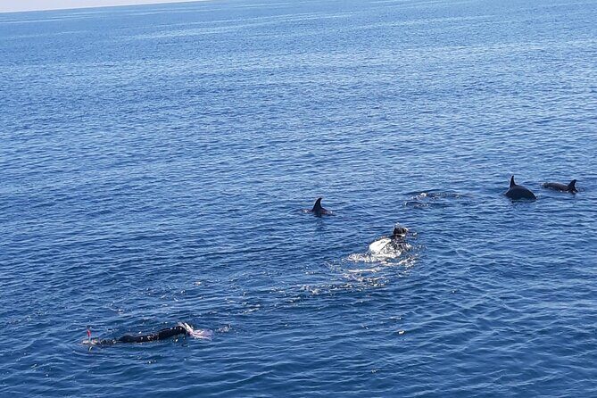 Dolphin tour & banana boat fun with snorkeling from Hurghada - FAQ