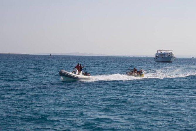 Dolphin Tour in Hurghada - What to Expect from the Tour