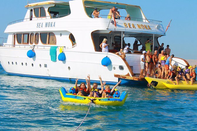 Dolphin Tour in Hurghada - Who Will Love This Tour?