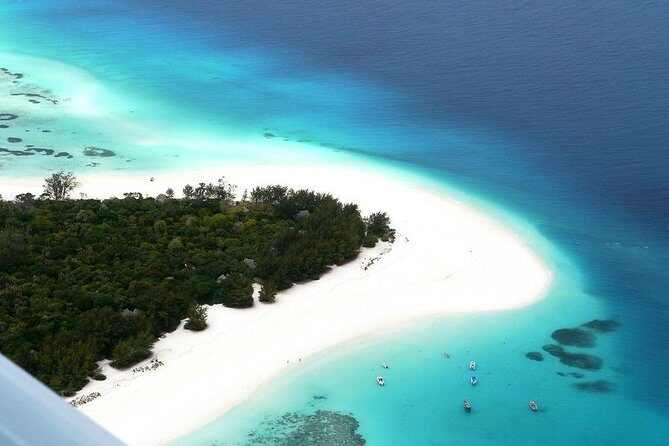 Dolphin Tour, Jozani Forest Tour, Kuza Cave Tour, Paje Beach,The Rock Restaurant - A Deep Dive into the Zanzibar Day Tour