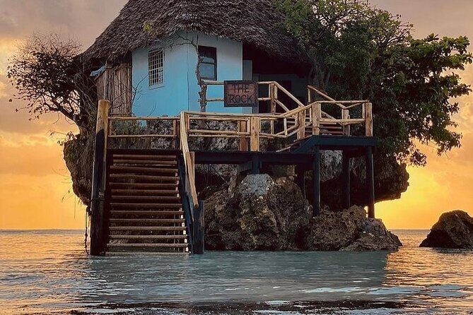 Dolphin Tour; Kuza Cave Tour; Paje Beach; The Rock Restaurant; Jozani Forest - Who Would Love This Tour?