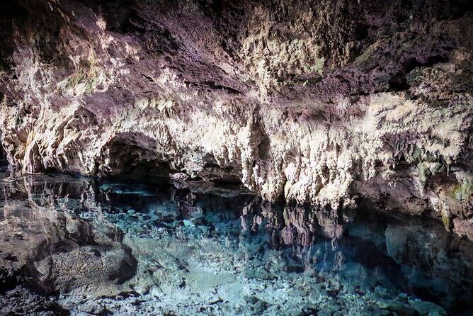 Dolphin Tour; Kuza Cave Tour; Paje Beach; The Rock Restaurant; Jozani Forest - FAQ