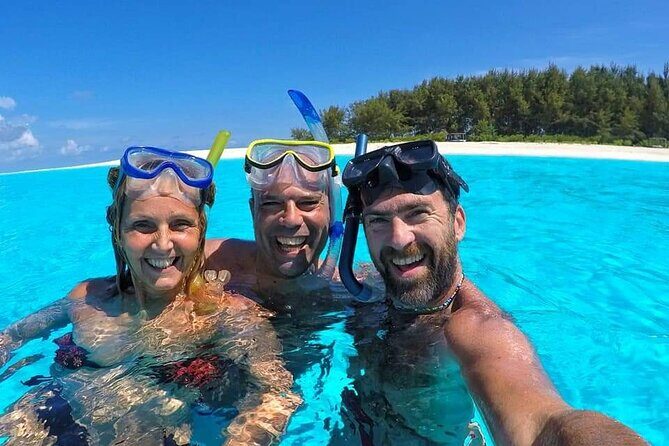 Dolphin Tour & Snorkeling at Mnemba Island - An In-Depth Look at the Tour Experience