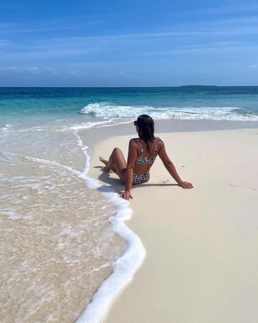 Dolphin tour + snorkeling at Pungume island and sandbak BBQ - Key Points