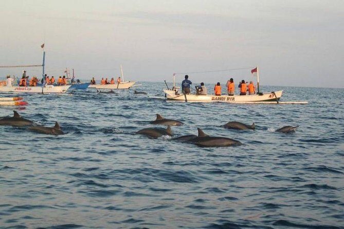 Dolphin Tour - Waterfall - Wanagiri Hill - Temple on the Lake - Free WiFi - An In-Depth Look at the Itinerary