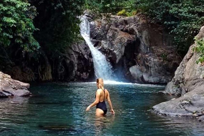Dolphin Tour - Waterfall - Wanagiri Hill - Temple on the Lake - Free WiFi - The Sum Up