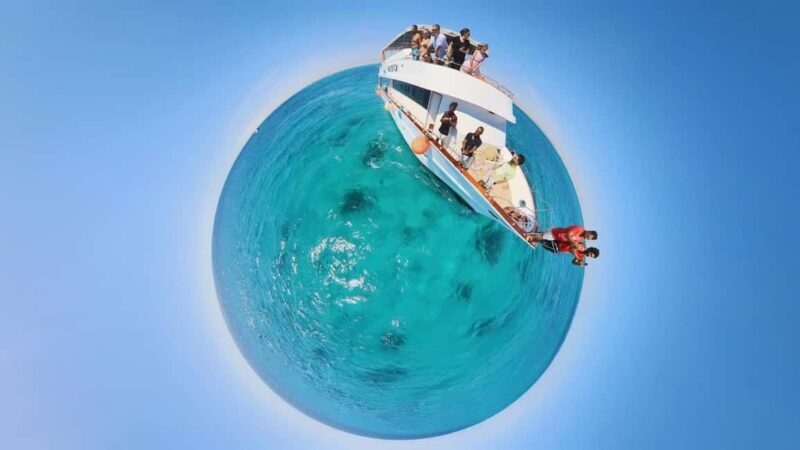 Dolphin Tour with Red Sea Fun. The Best in Hurghada - A Detailed Look at the Experience